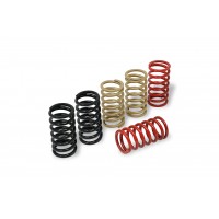CNC Racing Stainless Clutch Springs For MV Agusta - 40.5 mm height (all from 2006+) CNC Racing Stainless Clutch Springs For MV Agusta - 40.5 mm height (all from 2006+)